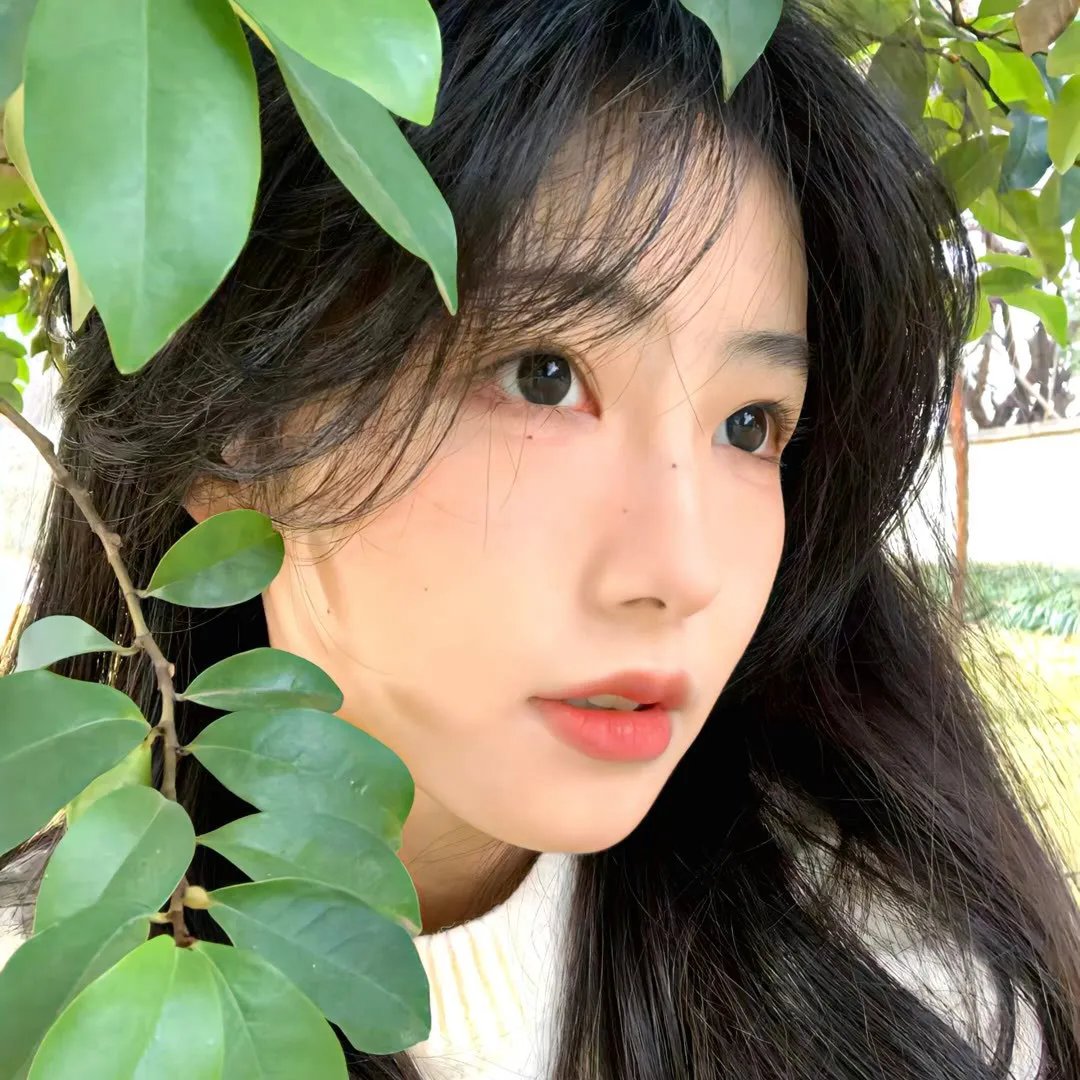 人力资源第一季